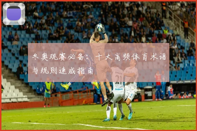 冬奥观赛必备：十大高频体育术语与规则速成指南