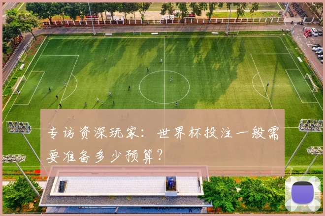 专访资深玩家：世界杯投注一般需要准备多少预算？