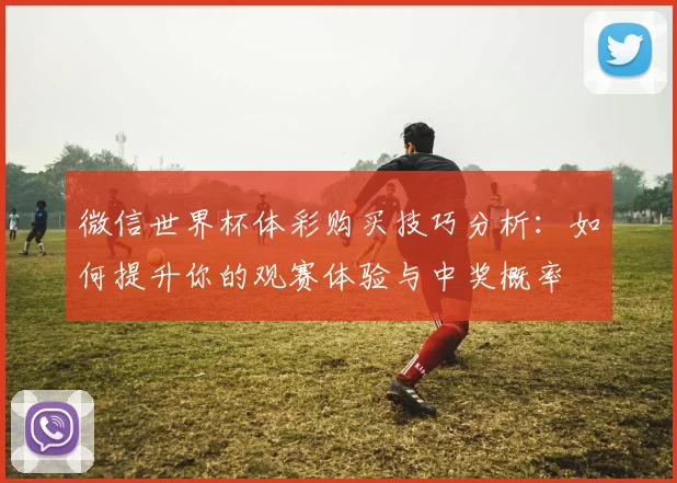 微信世界杯体彩购买技巧分析：如何提升你的观赛体验与中奖概率
