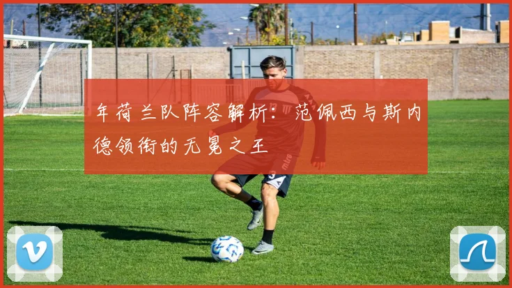 年荷兰队阵容解析：范佩西与斯内德领衔的无冕之王