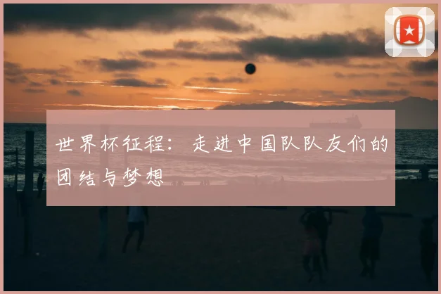 世界杯征程：走进中国队队友们的团结与梦想