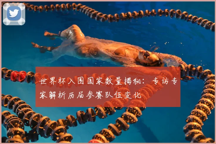 世界杯入围国家数量揭秘:专访专家解析历届参赛队伍变化
