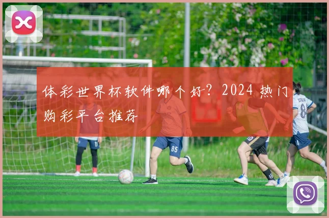 体彩世界杯软件哪个好？2024 热门购彩平台推荐