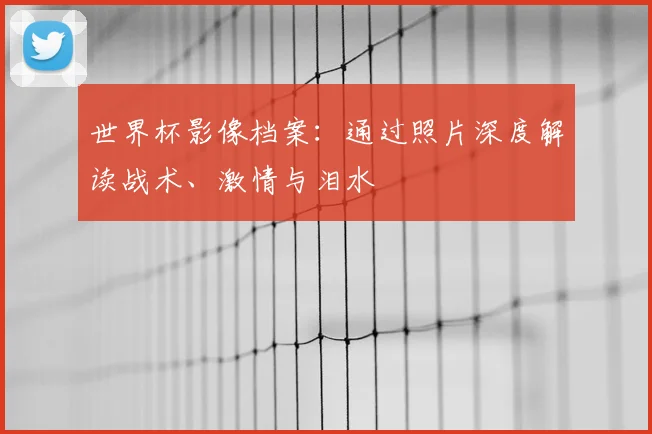 世界杯影像档案：通过照片深度解读战术、激情与泪水