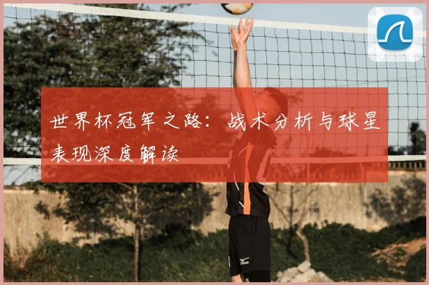 世界杯冠军之路：战术分析与球星表现深度解读