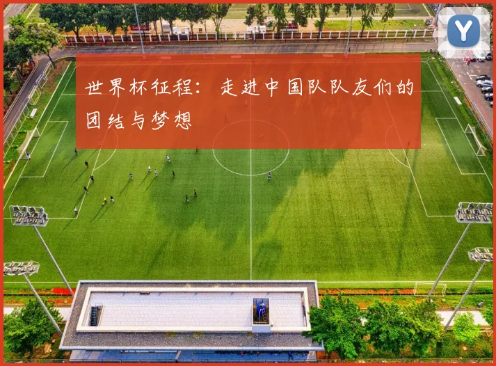 世界杯征程：走进中国队队友们的团结与梦想