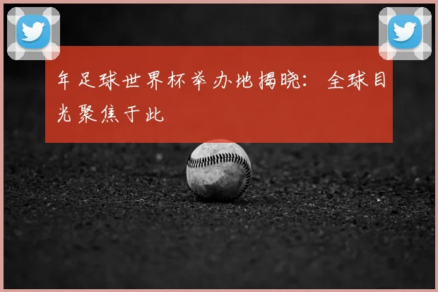 年足球世界杯举办地揭晓：全球目光聚焦于此
