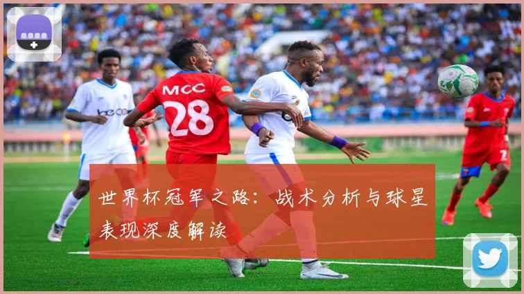 世界杯冠军之路：战术分析与球星表现深度解读
