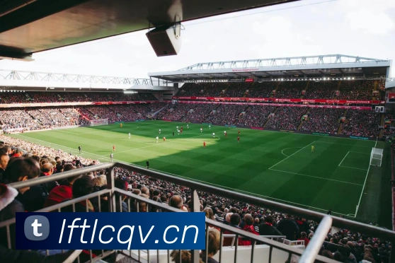 蒙牛高层深度解读：赞助世界杯，我们收获了怎样的品牌价值